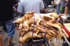 廣西玉林狗肉節(jié)不顧抗議如期辦 1天吃上萬(wàn)條狗