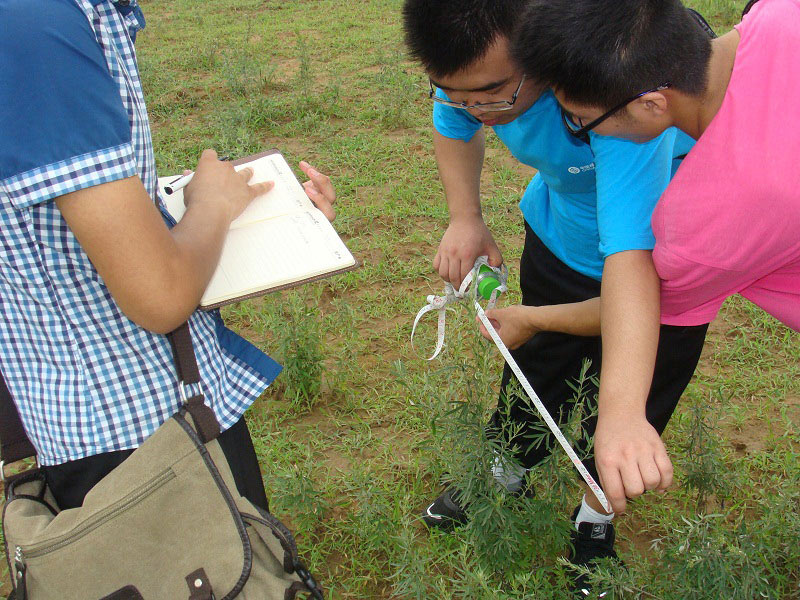 7��19�գ��m�ݴ�W�Gɫ�I�F�������һ�A�ε��{(di��o)�н�(j��ng)򞣬�ٴ�����M�ЬF(xi��n)���о����D��꠆T�����ڜy���_�J�ӷ��ķ�����