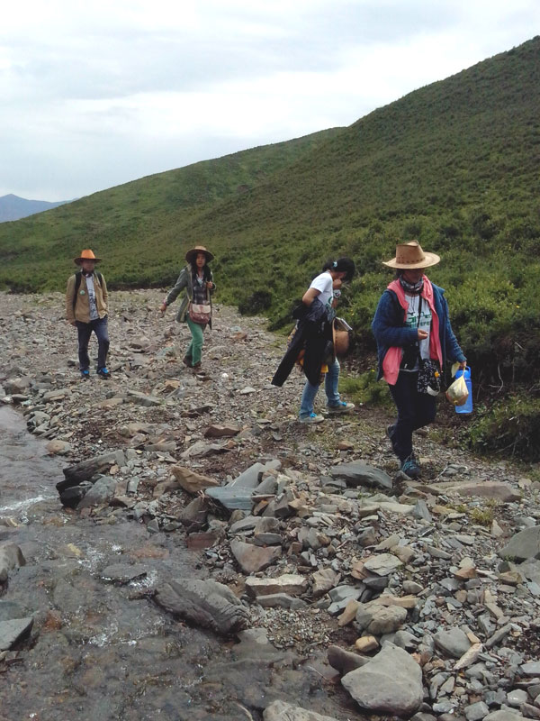 7��22�գ��m�ݴ�W(xu��)�Gɫ�I�F(tu��n)�(du��)�������c(di��n)����?q��)����{(di��o)�����(du��)�T������(d��ng)?sh��)ص��������f�ֲ����݈���r������ι�B(y��ng)���h(hu��n)��׃���ȷ����M(j��n)���˴��µ��˽����D���(du��)�T���ڮ�(d��ng)?sh��)��M(j��n)��ֲ����R(sh��)������