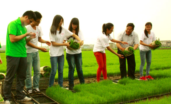 ��ꎎ����W(xu��)Ժ���Gɫ���ۡ����`�־Ը����ˮ�����g�M���w�ʽ������