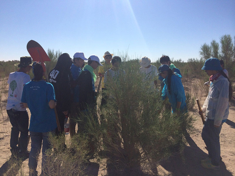 ������Ҫ��һ���ļ��ɺͽ�(j��ng)�(y��n)��ͬ�W(xu��)���_ʼ������һƬ�����ַ��ز����^�m(x��)�����[�ص�����