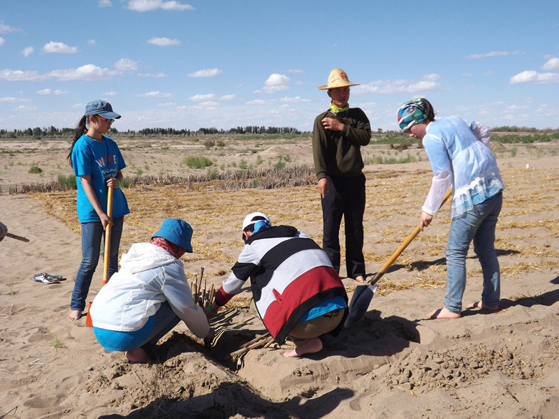 �@�N1.5��Ҋ�������ݸ�������ɳЧ����������^4��5���͕�(hu��)�L(f��ng)�g��������Ҫ�����a(b��)����