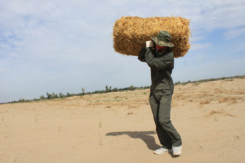 �F(tu��n)�T���i�������ݣ����ϳ����������������؟(z��)�Ρ�