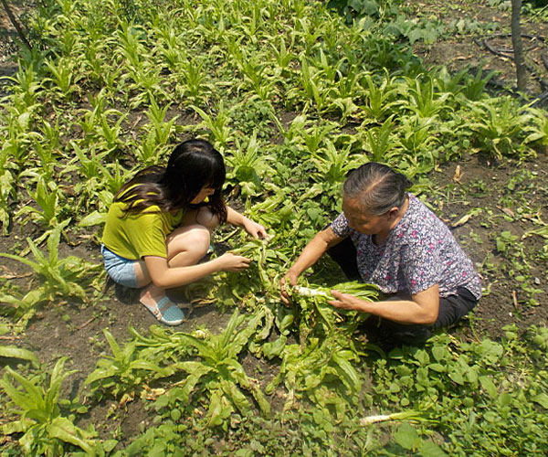 æ_yժĲ˲ϸժЧʵ(jng)^Ϥָ(do)ܿ(du)TM(jn)ˠB(ti)