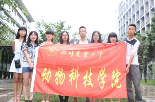 Ĵr(nng)I(y)İ`أɶŰ