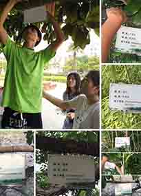 Kr(nng)W(xu)ԺO(sh)Ӌ(j)У@ֲƬKr(nng)Gɫ}