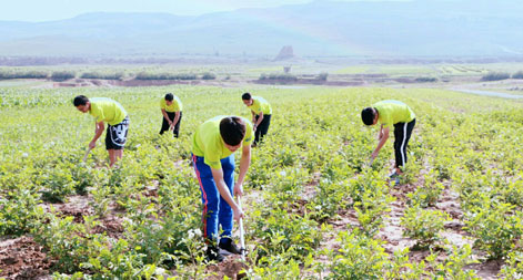 ɽͬWǻơl(xing)־ԸՈFMl(xing)