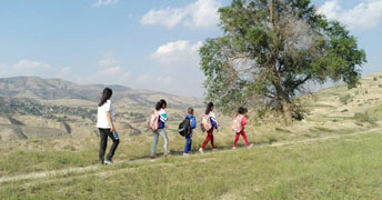 ꖻ_kһl(xing)֧̣ͺӻؼ