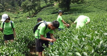 dWԺϺWԺƷ֪ȤɆT÷҉]ɲ