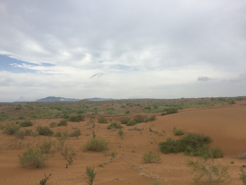 vɳĮ޾W(wng)ݷﲼM[dɳֲ