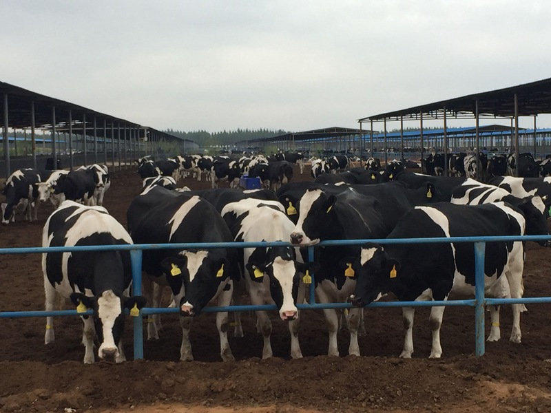 wɳĮｨO(sh)ţ(chng)