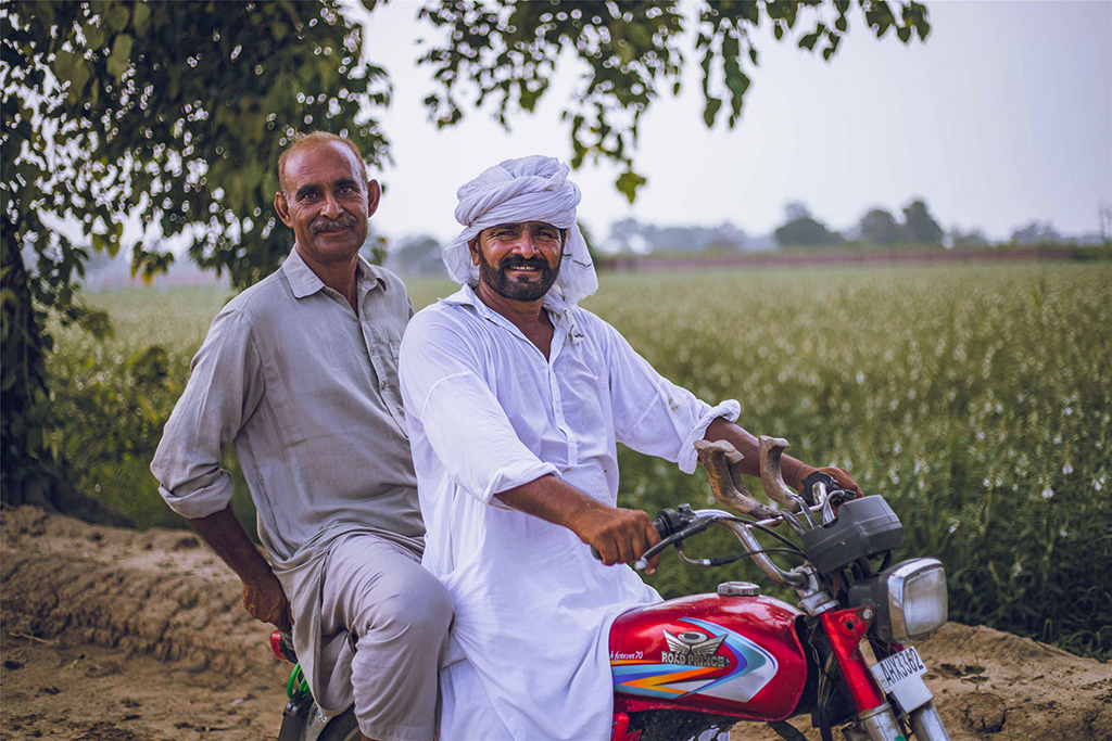 芝麻種植基地給當?shù)厝藥砀嗑蜆I(yè)機會。（人民網記者 薛丹攝）
