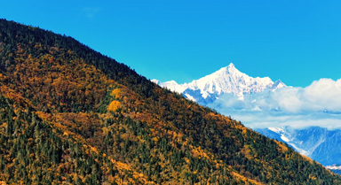 層林盡染 梅里雪山與彩林共舞