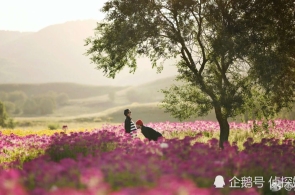 李强签定邦务院令 文告《邦务院闭于履行〈中华大伙共和邦公法令〉注册成本注册拘束轨制的规章》